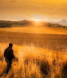 Free State