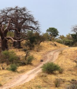 Limpopo